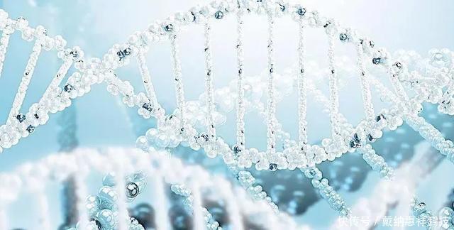  说自己|中国最忙的四大骗子，或许你刚好就被他们骗过