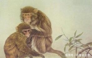 了不起|燕子不进苦寒门:金猴人,“您真了不起啊”,2020年囍!