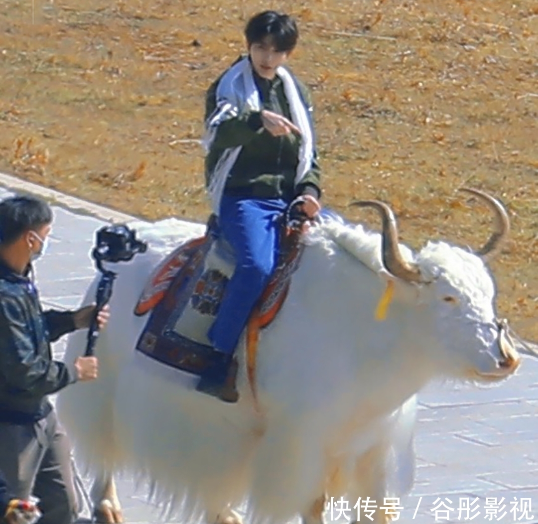 录制|《奔跑吧黄河篇》录制开始,二位大咖缺席,但新晋四位嘉宾