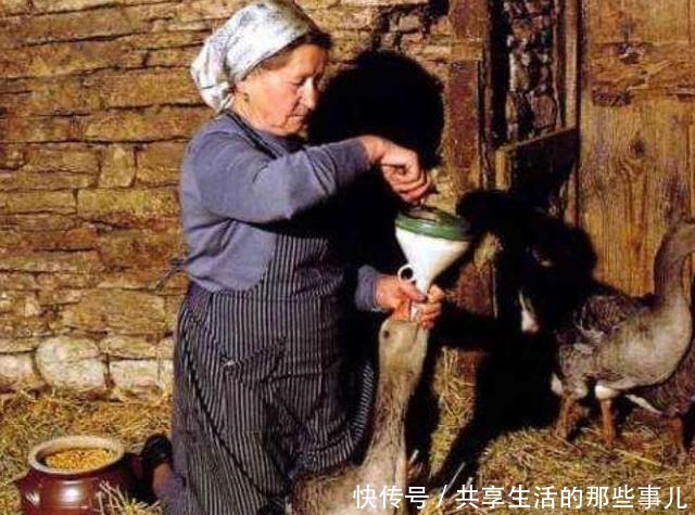 不道德|全球最“不道德”的美食,因虐待动物而取得,网友下不去嘴