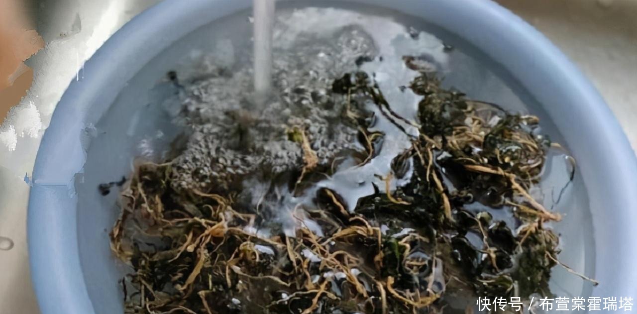 随处|这菜农村随处见,晒成干再蒸着吃,又香又糯,城里人想吃都买不到