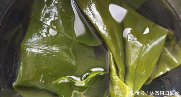  选择海带|买海带，“内行”遇到这种，再便宜也不买，老板：我们自己也不吃