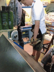  GIF|搞笑GIF：我喝了，你随意，不醉不归