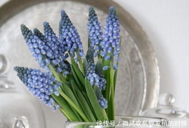 隐忍|能屈能伸,进退有度的星座,得意时高调,失意时又能保持隐忍