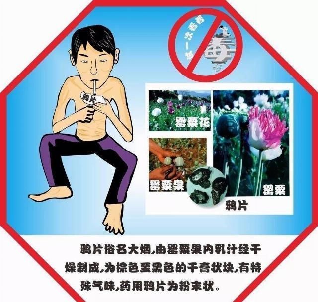  白头|引以为戒她在最美的花季沾染毒品，以致家财耗尽、母亲白头、亲友远离