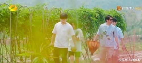  嘉宾|《向往的生活》蘑菇屋再试营业 嘉宾更是惊喜不断