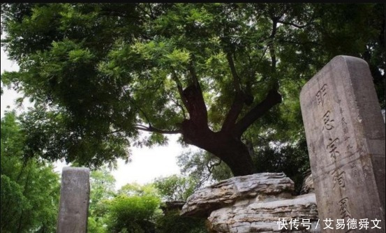 吴三桂|李自成兵临城下,崇祯皇帝吊死在“歪脖子”树,现在那棵树怎样了