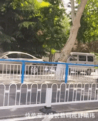 到底|搞笑GIF:美女别再拍了,饭到底还做不做了