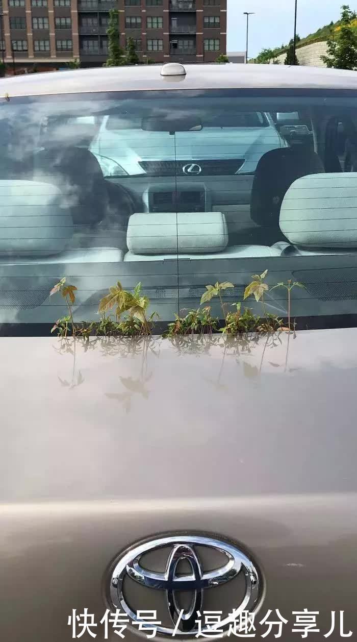 无所不能|那些人类遗忘的角落,大自然无所不能