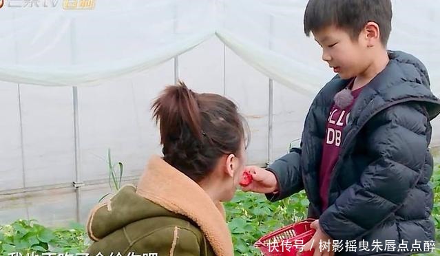 到底|黄圣依霍思燕的差距到底多大,看安迪和嗯哼喂草莓的样子就知道了