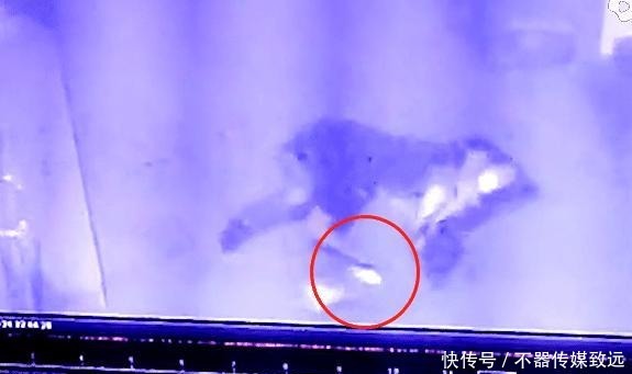 赖女士|女子独自走夜路，到巷子时冲出陌生男子，将女子打倒在地上下其手