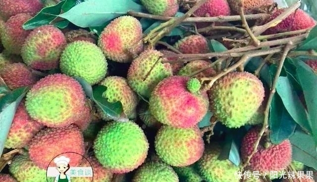 荔枝品种|买荔枝时,老果农教你5招,挑出好荔枝,肉厚多汁,一挑一个准!