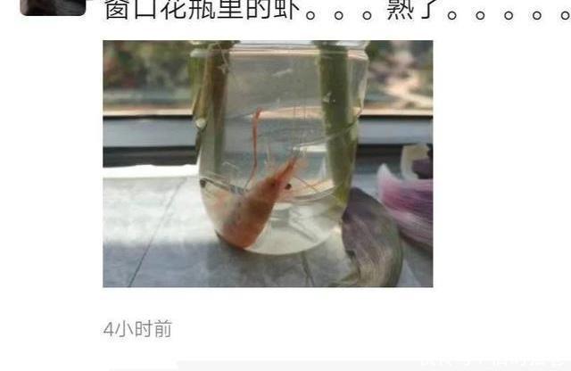 本事|如果有人因你长的太丑给你200块,你会接受吗?这是凭本事拿的