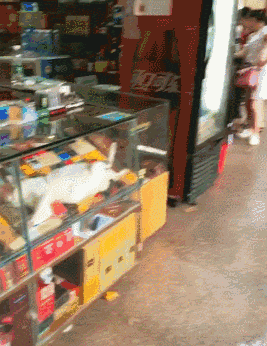  生活|搞笑GIF动图：妹子们也是拼啦！这给力的生活