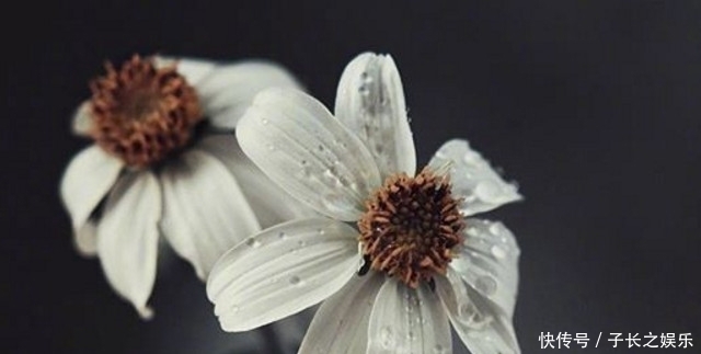  生命中|人生中会遇到的三个贵人，别轻易就错过了