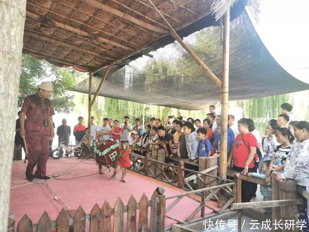 圆满结束|“大兵小将”两天一夜亲子活动圆满结束!