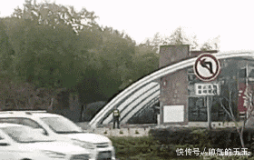 伤害|“我从没伤害过人,但还是被打死了 ”