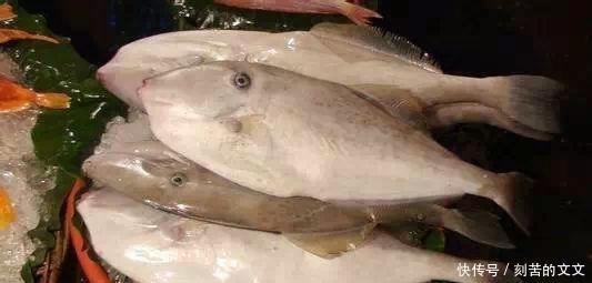 认出|海鲜大全, 你能认出多少