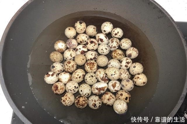 营养|它是动物中的人参，是零食又是菜，营养不输鸡蛋，我家隔三差五吃