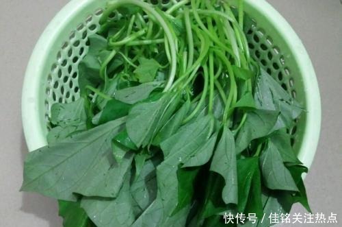 薯梗|它是蔬菜皇后,蛋白质含量不输肉类,只需1元1斤,吃着真划算!