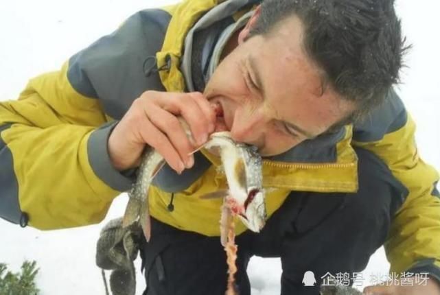 求生|贝爷为何不录《荒野求生》了看看在中国遭遇了啥难怪不干了