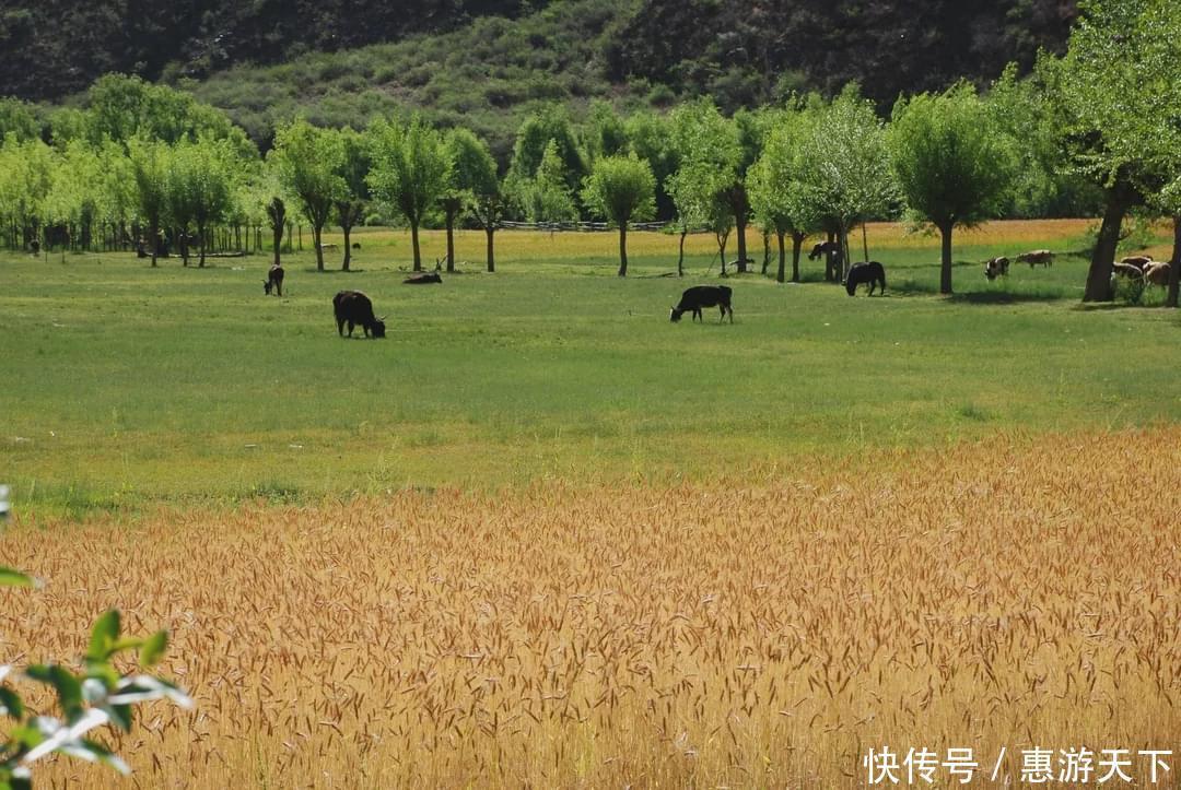  旅行|川西藏地的舌尖密码，不一样的“味蕾旅行”