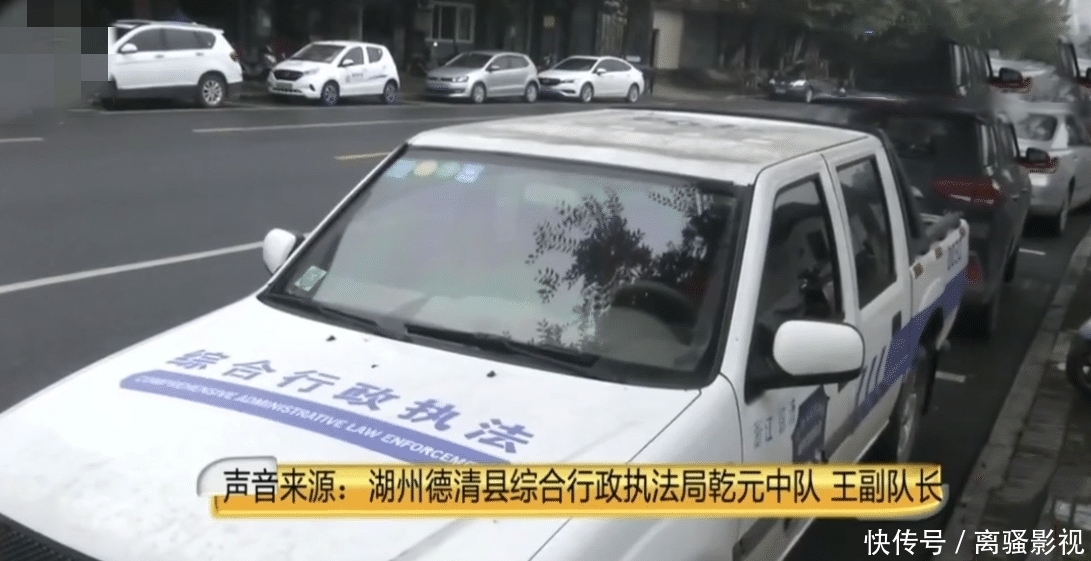  路上|城管车马路上撞到狗，遭主人指责态度不好，城管：没拴绳全责