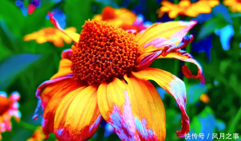 运势|8月开始事业顺利,吉星辅助,终成大器的四大生肖