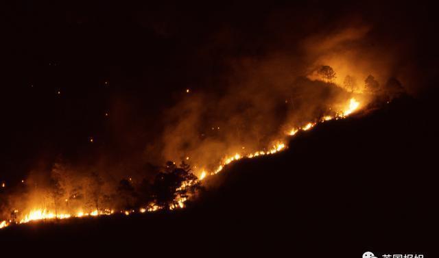 图源|北极圈着火!气温直逼38度,科学家恐冰川融化远古病毒复活