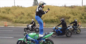 狗熊|搞笑GIF：打赢了是英雄，打败了是狗熊！