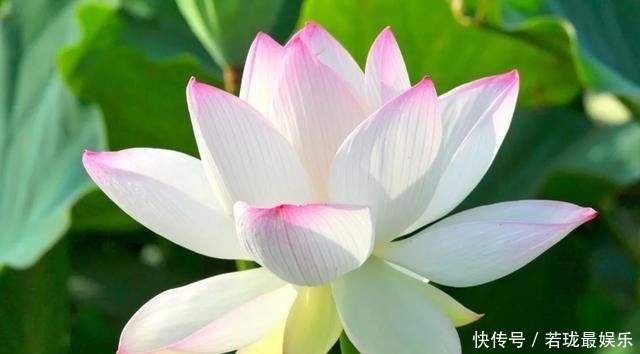 孩子|悲痛！开学没几天，全国发生多起学生自杀事件！孩子，请深爱自己