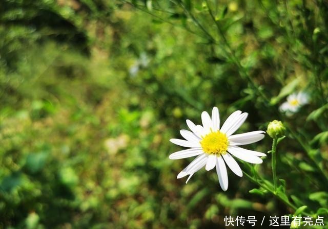 声不绝|八月烟雨声不绝