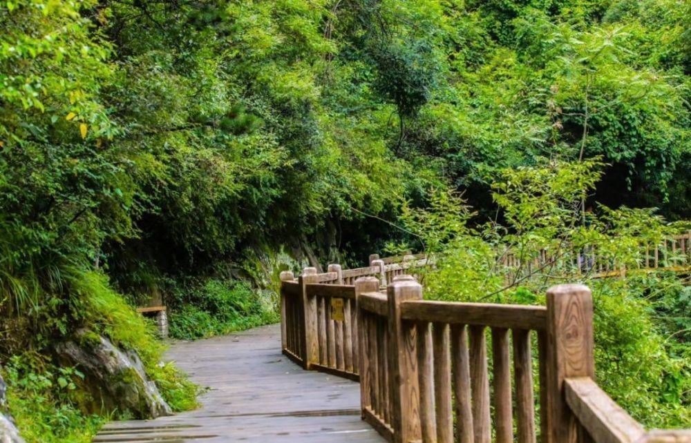 斜谷|浅谈诸葛亮北伐与褒斜栈道之关系