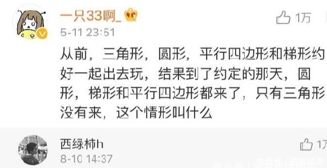 主人|主人第一次带猫坐车出去玩,它的反应哈哈哈