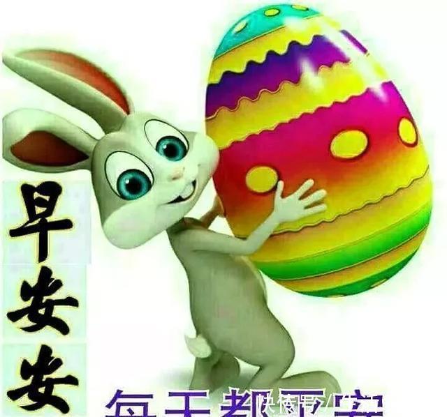 愿你|历经了风吹雨打,只盼在坎坷路上,能有一颗心相随,早安