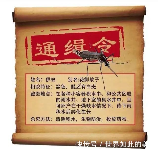  警惕|警惕！这种传染病在多国进入高发期