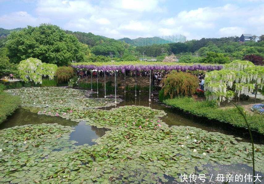 小雅|父母要彩礼女儿坚持不要，结婚该要彩礼吗？3个女人给出答案