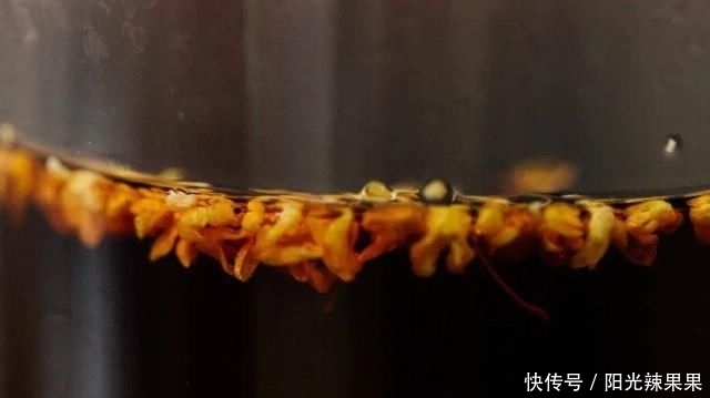  TUT|恐怖故事！网购了全国的酸汤，每天都忍不住多吃一碗饭TUT