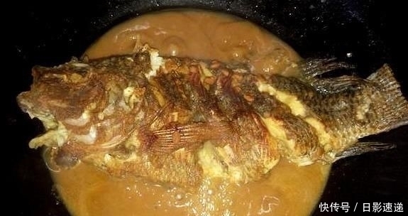  罗非鱼|老表去塘里抓了一条大罗非鱼，然后这样做，鱼肉鲜嫩又入味