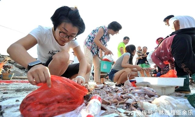 不值钱|潮汕人超爱吃的这种鱼,在国内不值钱,一出口就变成了高档鱼类!
