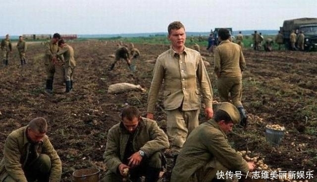 苏联|史上最大规模的裁军,裁了1000万还剩400万,最后依旧没保住国家