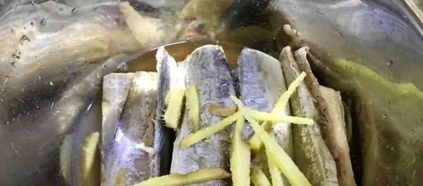 含量|这鱼被日本人称“脑黄金”,蛋白质含量鱼类第一,国内降价没人买!