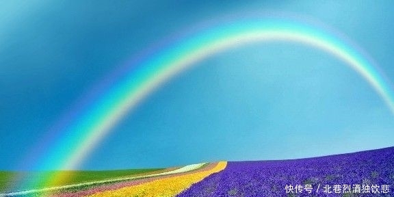 喜欢你|最优雅的人生哲理句子,短促而深情,不禁红眼