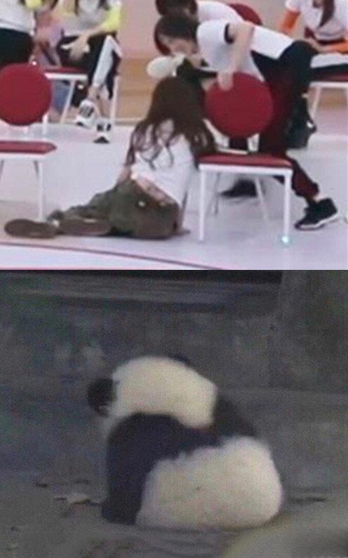  简直|原来《乘风破浪的姐姐》是一档表情包还原节目，简直是神还原