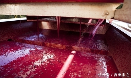 罗纳河谷葡萄园的葡|罗纳河谷葡萄园的“关键词”之旅