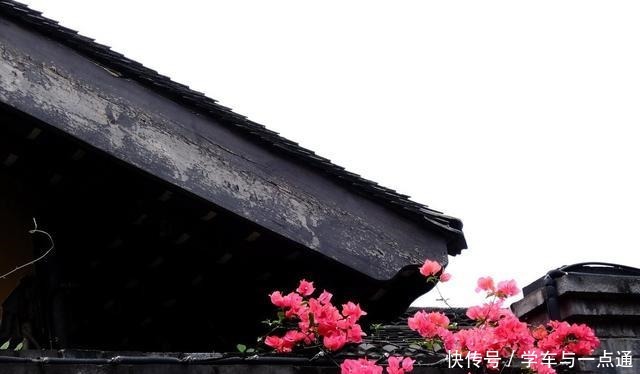 玉米|花卷这样做,实在太香太美太馋人,做法很简单,一双筷子就够啦