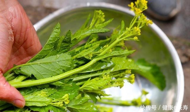 刮油|春季这菜最鲜嫩,开水烫一烫,盆里焖一焖,上桌香辣下饭还刮油