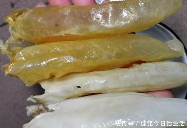 手把手|细数花胶的那些坑,鱼胶和鱼鳔并不一样,潮汕人手把手教你选花胶