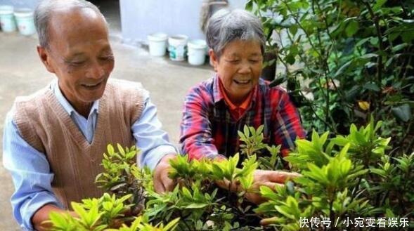 张女子育儿|中国“首批丁克”现在过得如何呢？是真的幸福，还是后悔了呢？