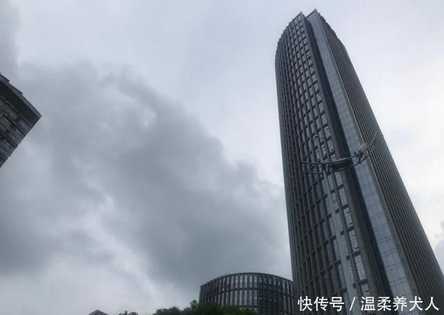  每秒|这栋大楼的高速电梯特快，每秒6米，有坐飞机的感觉